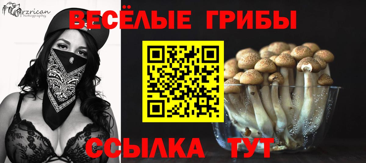 Галлюциногенные грибы MAGIC MUSHROOMS  Галлюциногенные грибы прущие грибы  Сафоново  Вход с VPN 